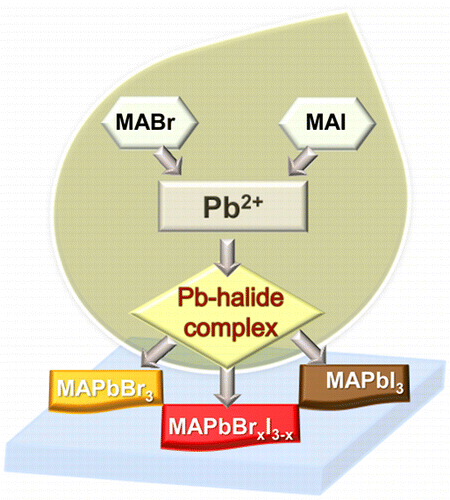  How Lead Halide Complex Chemistry Dictates the Composition of Mixed Halide Perovskites 